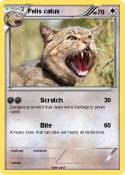 Felis catus