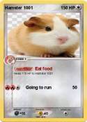 Hamster 1001