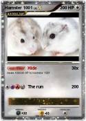 Hamster 1001
