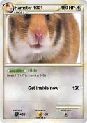 Hamster 1001