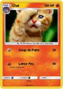 Chat
