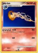 jelly fish
