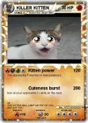 KILLER KITTEN