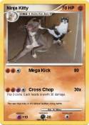 Ninja Kitty