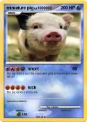 miniature pig