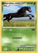 Horses Bela