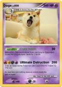 Doge