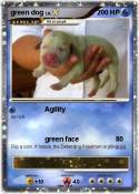 green dog