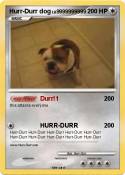 Hurr-Durr dog