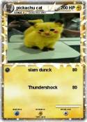 pickachu cat