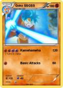 Goko SSGSS