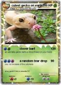 cutest gecko on