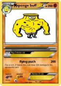sponge buff