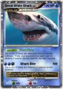 Great White Shark Great White