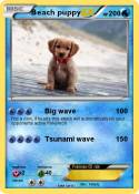 Beach puppy