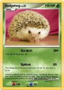 Hedgehog