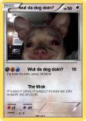 wut da dog