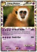Chimp Monkey