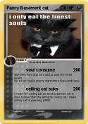 Fancy Basement cat Fancy Basement