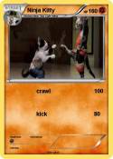 Ninja Kitty