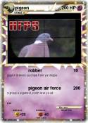 pigeon