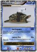 camra turtle