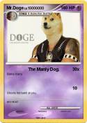 Mr.Doge