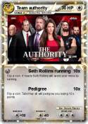 Team authority
