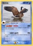 Goosey