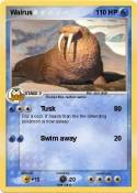 Walrus