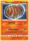 Ribosomes