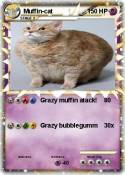 Muffin-cat Muffin-cat