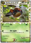 Ducky duck duck