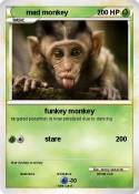 mad monkey