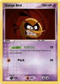 Orange Bird