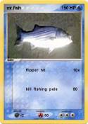 mr.fish