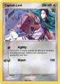 Captain Levi