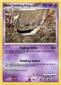 Water holding frog Water holding