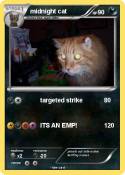 midnight cat