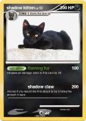 shadow kitten