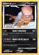 baby+cat