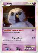 owley