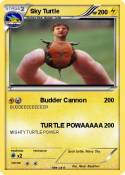 Sky Turtle