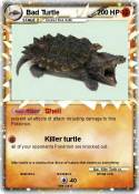 Bad Turtle