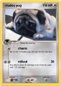 chubby pug