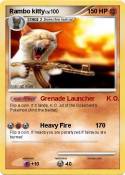 Rambo kitty Rambo kitty