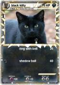 black kitty