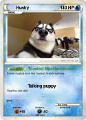 Husky
