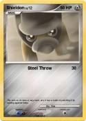 Shieldon