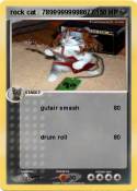 rock cat